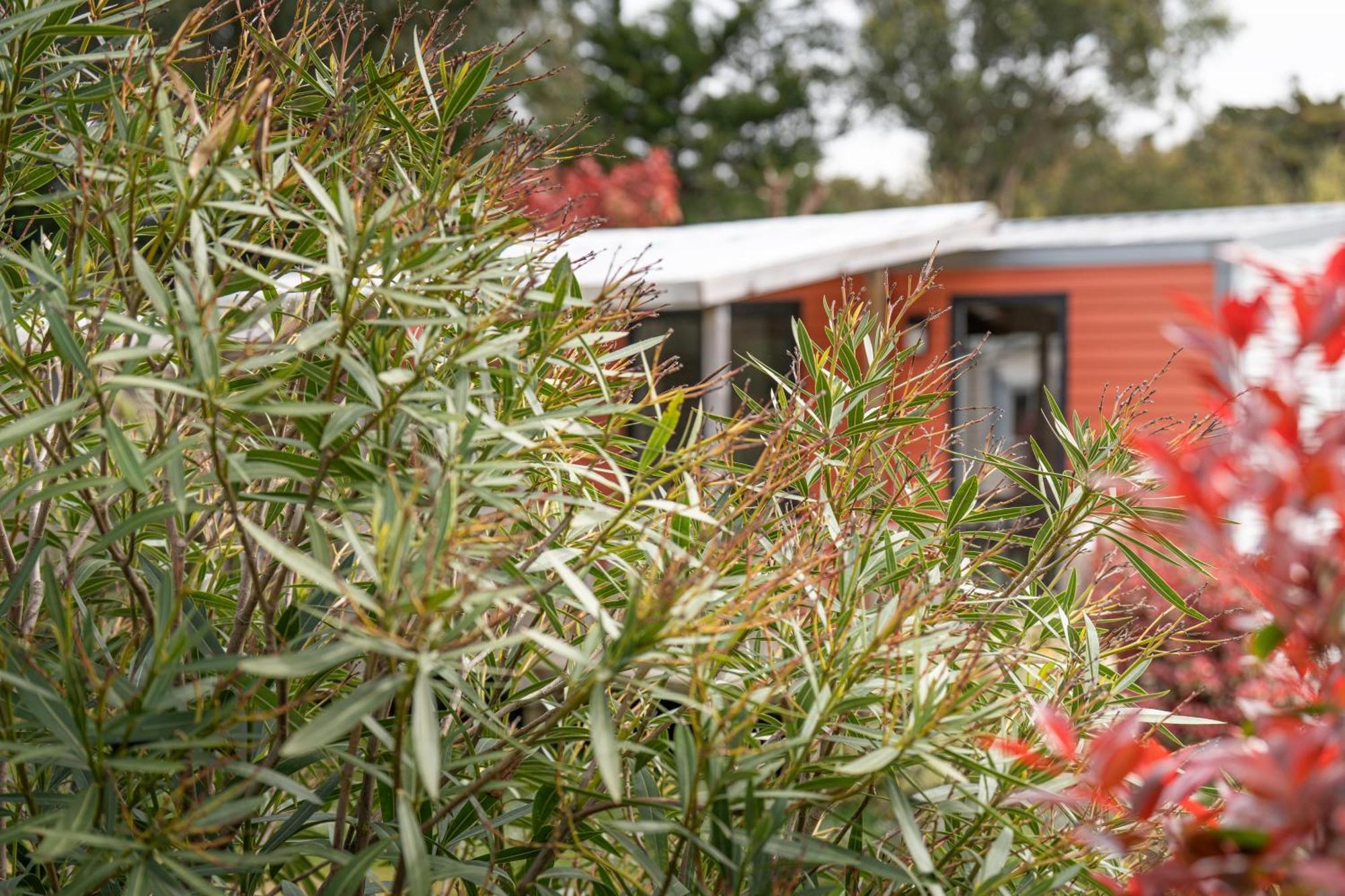Camping Antioche D'Oleron La Brée-les-Bains Eksteriør bilde