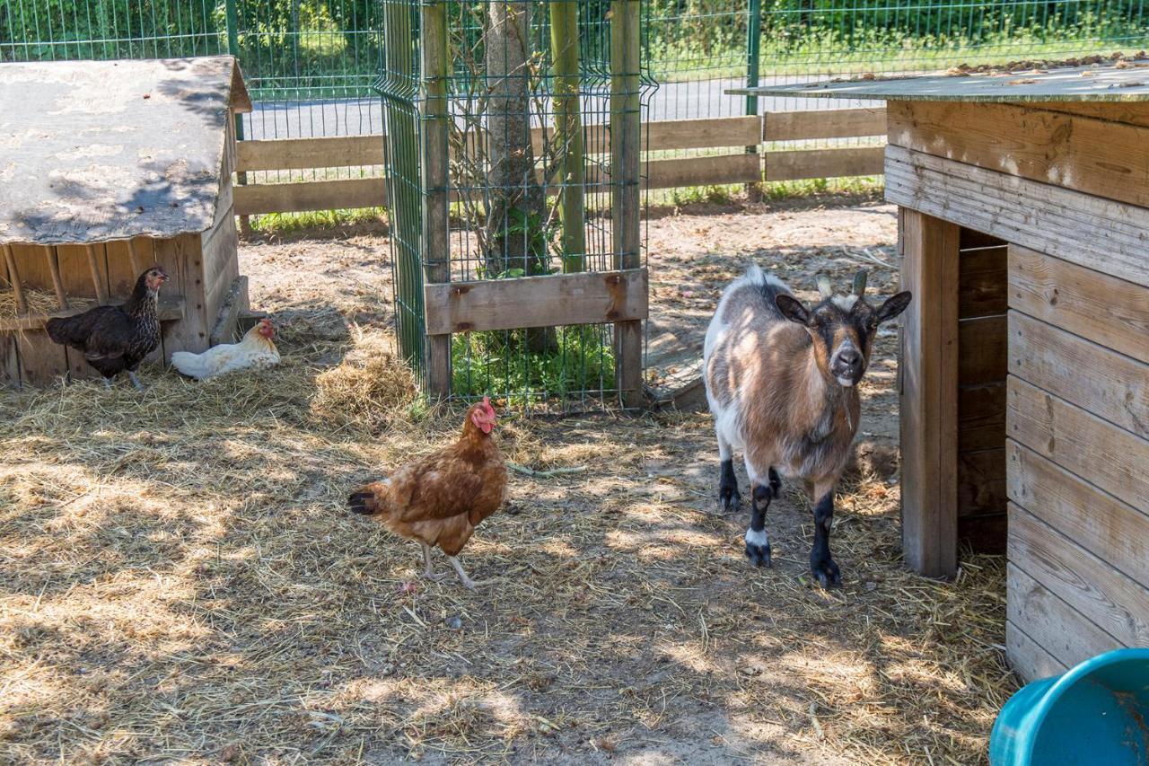 Camping Antioche D'Oleron La Brée-les-Bains Eksteriør bilde
